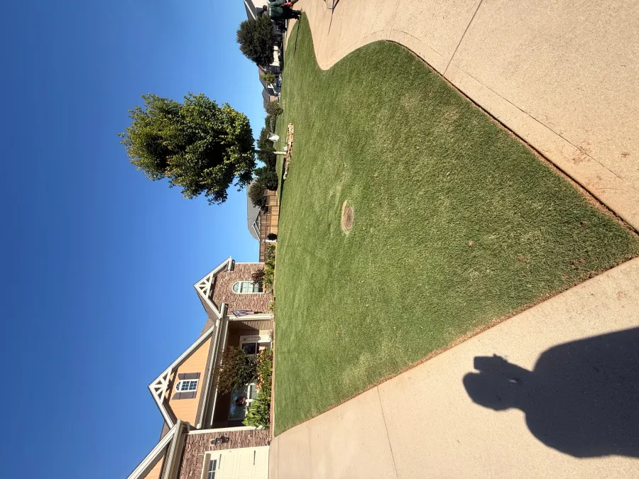 Bad Daddy Lawns - Photo 1